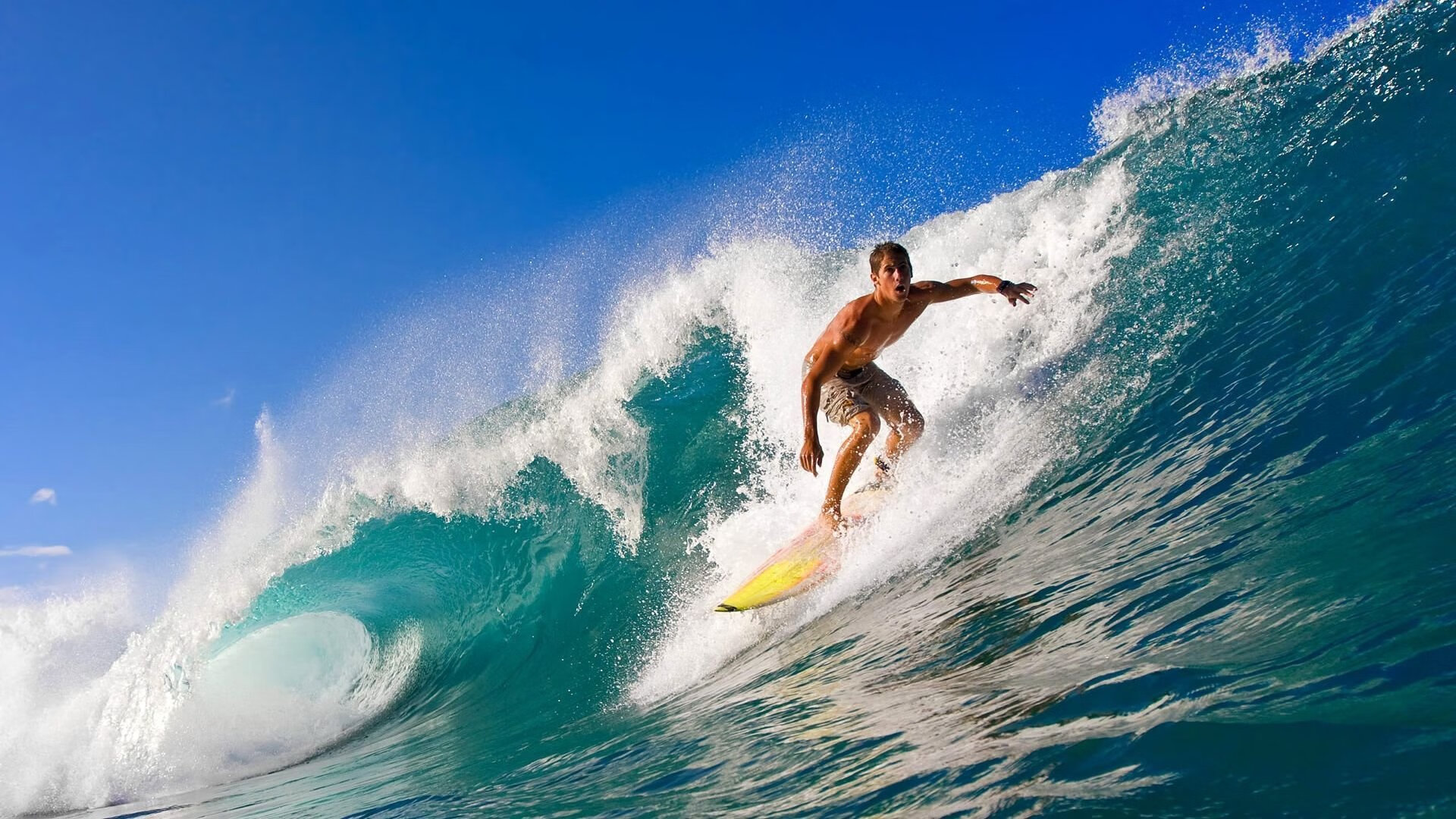 2026年世界武术自由搏击巡回赛亚洲首站落户上海