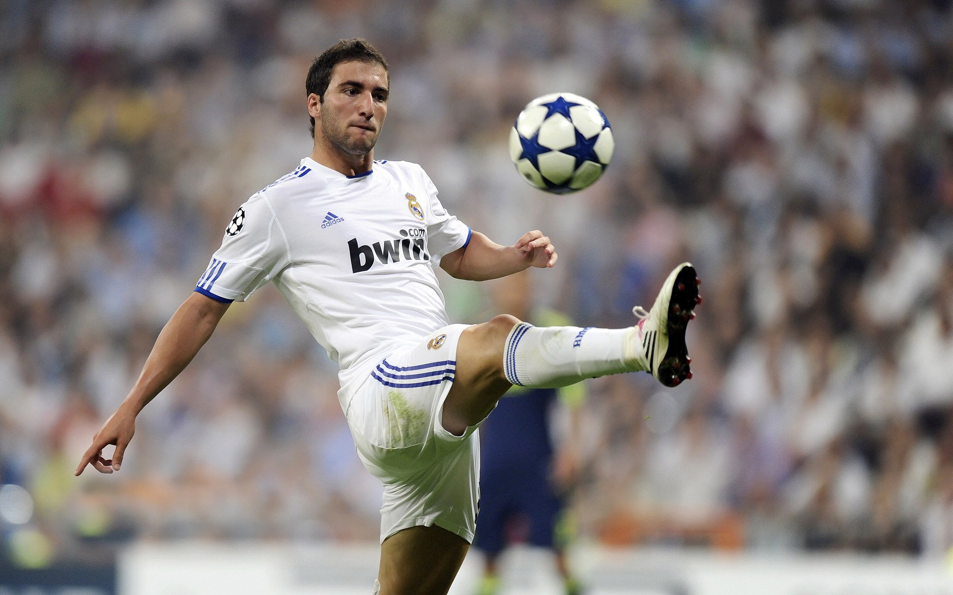 体育产业就业趋势